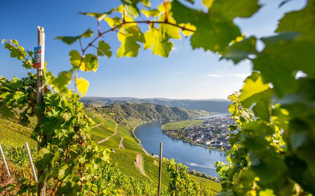 Wohngut Hotel Koblenz (Rhineland-Palatinate)