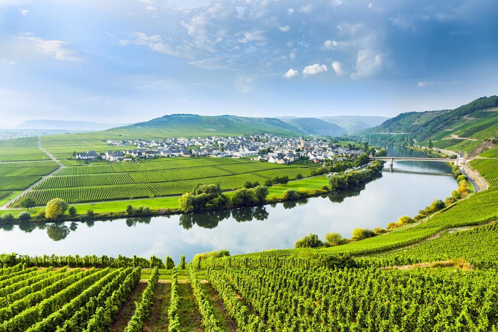 Wohngut 4* Koblenz (Rhineland-Palatinate)